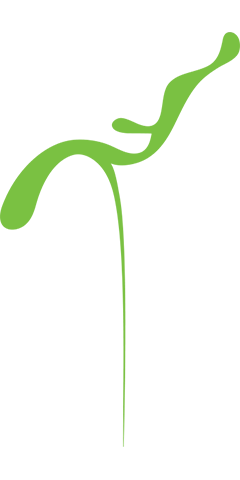 image-175243-home2.png?1469021447807